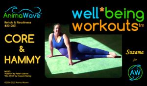 AnimaWave Well-Being Workouts