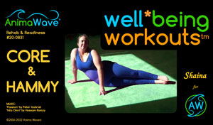 Anima Wave Well-Being Workout